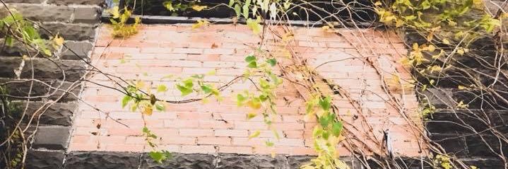 AlisonPapion's profile banner image