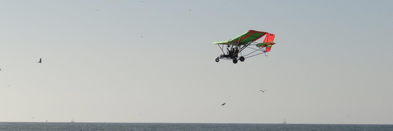 Sarah Puglisi banner