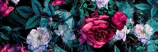 kaitlxo's profile banner image