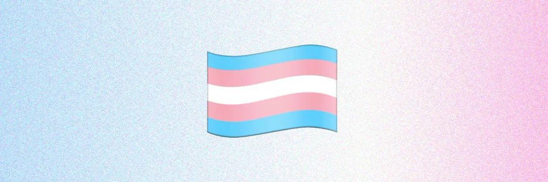 BarbyeTransGirl's profile banner image