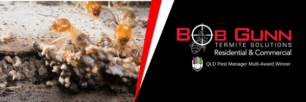 BobGunn_ Profile Banner