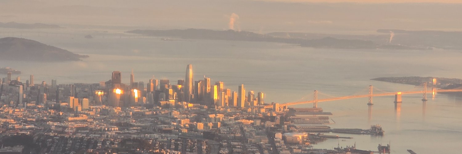 Laura N Montoya banner