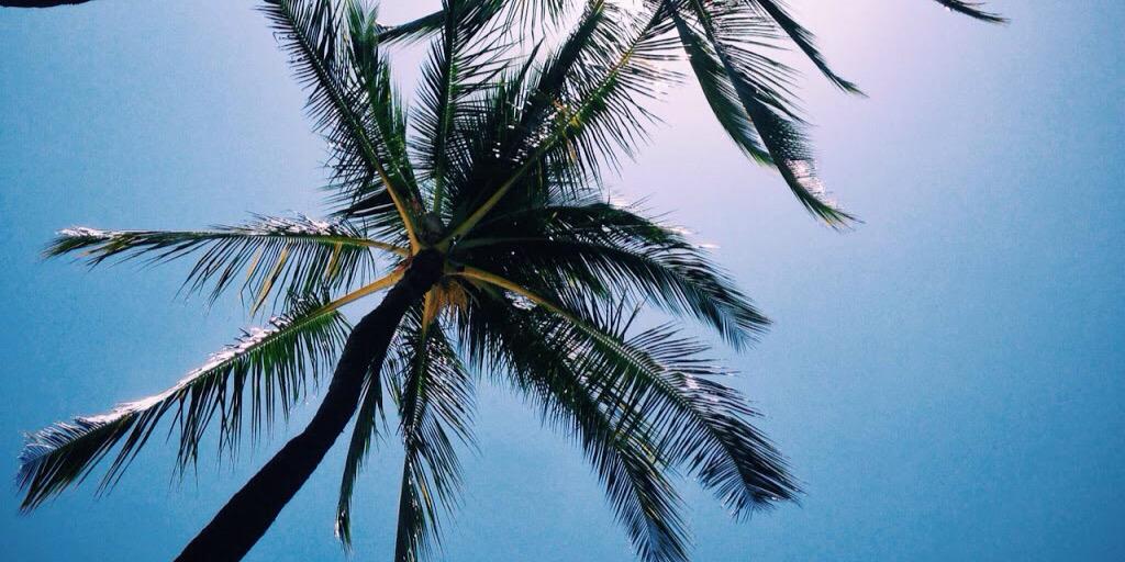 HeyJylian's profile banner image