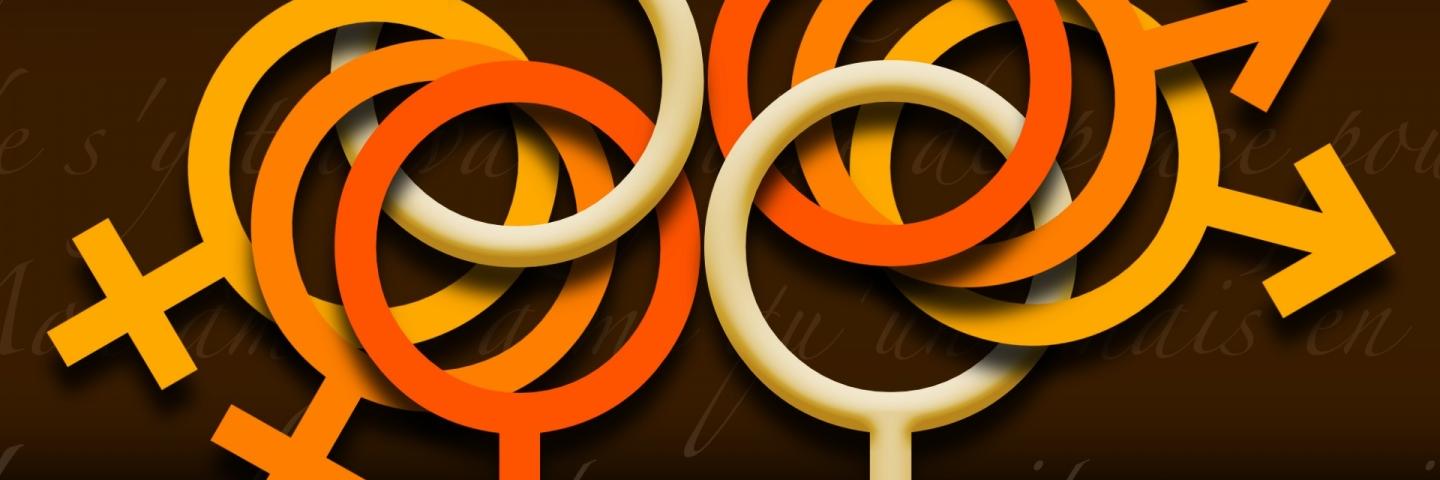 OpenRelationUni's profile banner image