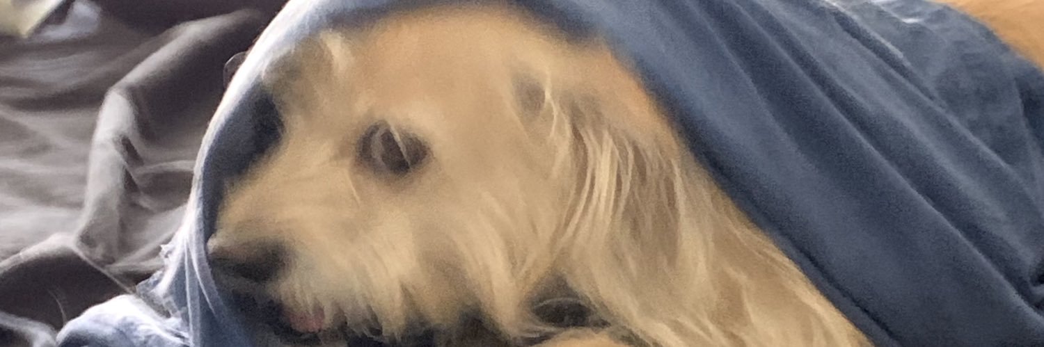 _danyuck's profile banner image