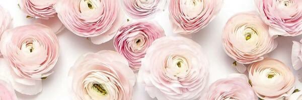 BBeautifulXX's profile banner image