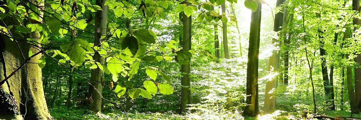indrawan_92's profile banner image