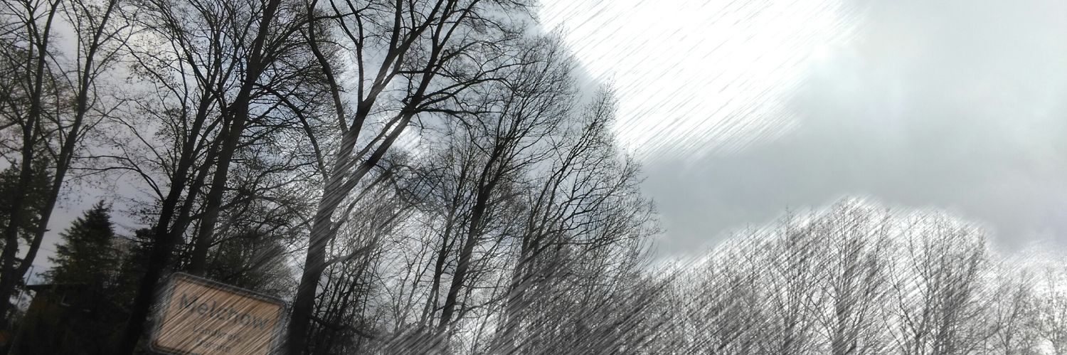 schubert_rico's profile banner image