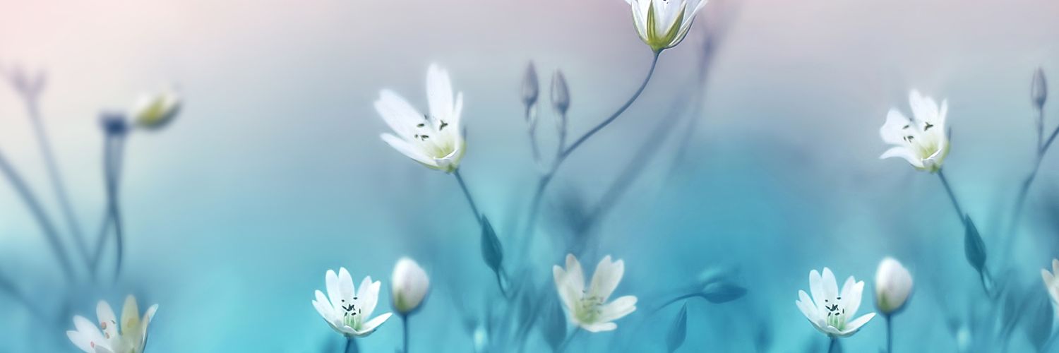 _rxrxrc's profile banner image