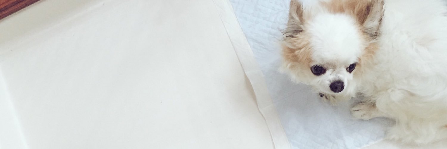 __0003__'s profile banner image