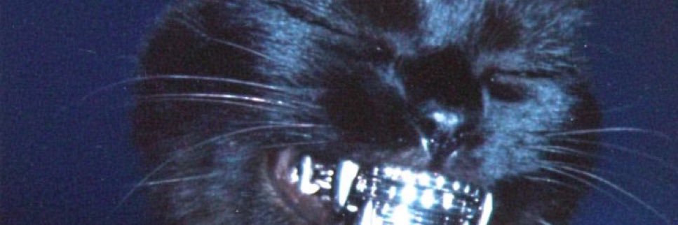 itg_will's profile banner image