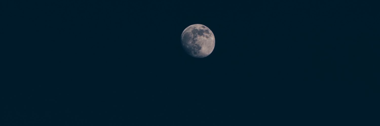 zariaraynee's profile banner image