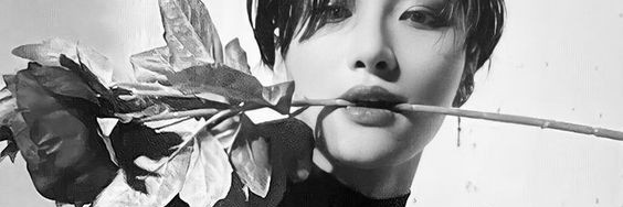 〔 Seonghwa 〕 banner