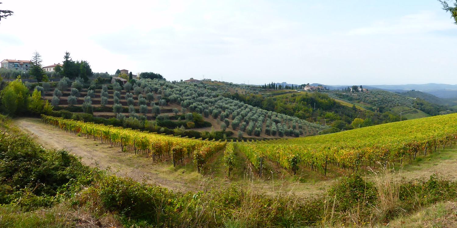 Jonathan Beal banner