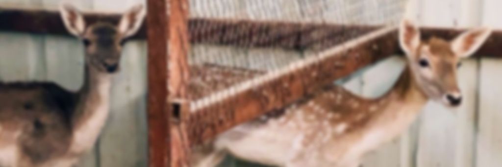 mfkh__'s profile banner image