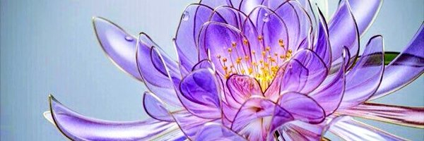 amiha_mu Profile Banner