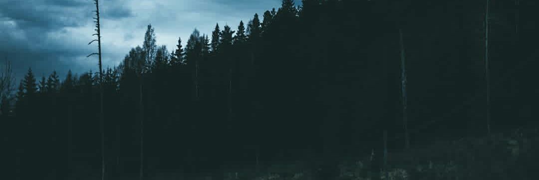 kayalejandro1's profile banner image