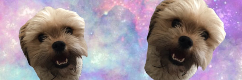 SEA_ATL's profile banner image
