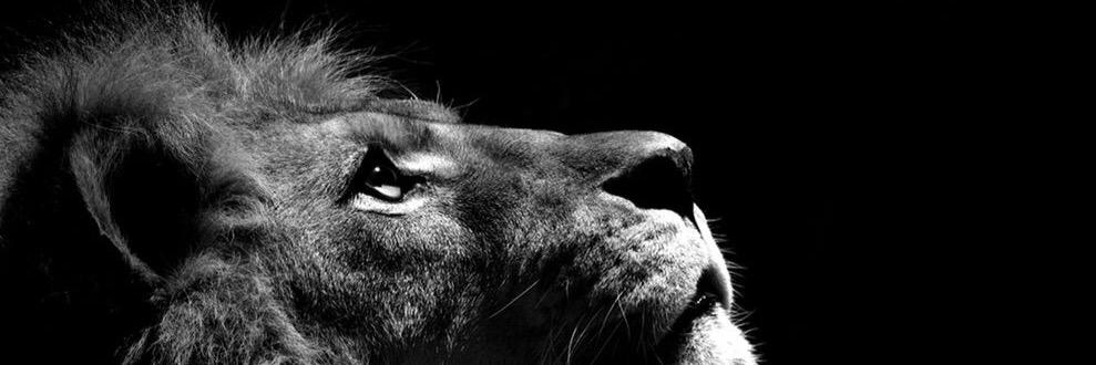 3nber's profile banner image