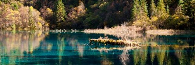 Darvesh95's profile banner image