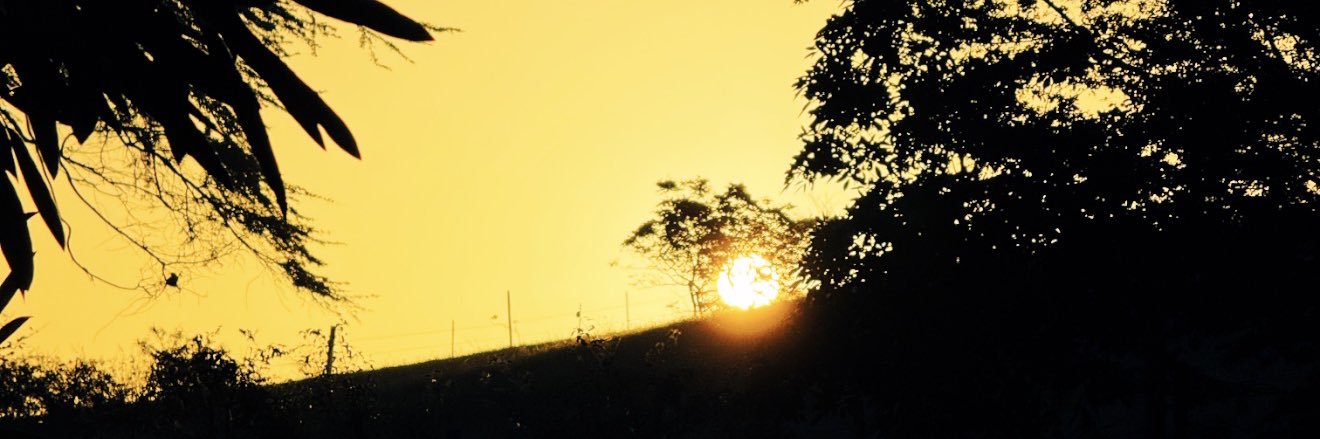valrisitos's profile banner image