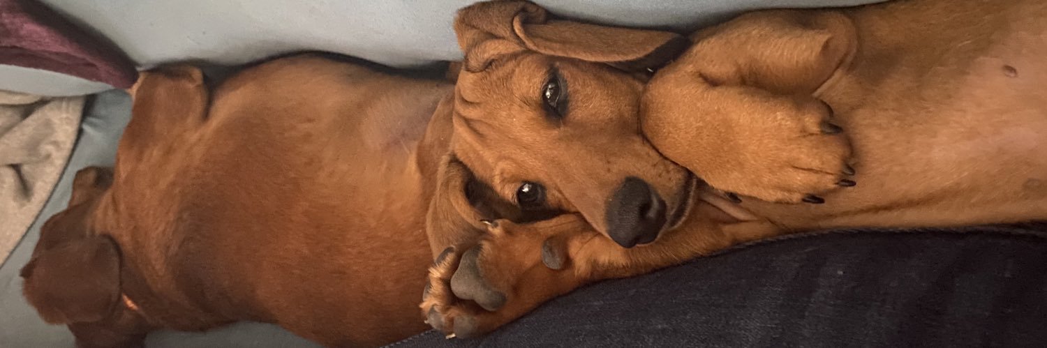danidevon's profile banner image