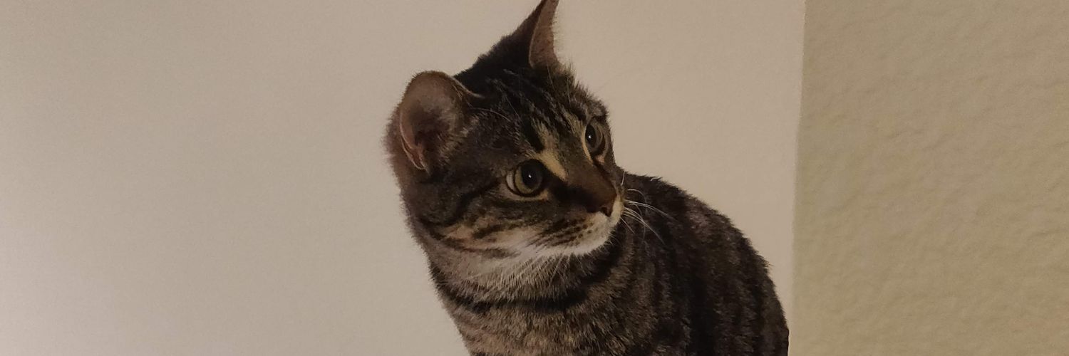 ramith41p's profile banner image