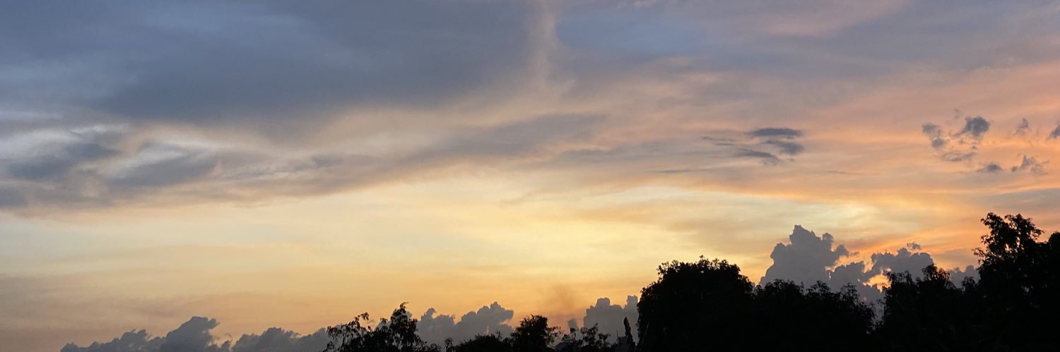 mayasmrt's profile banner image