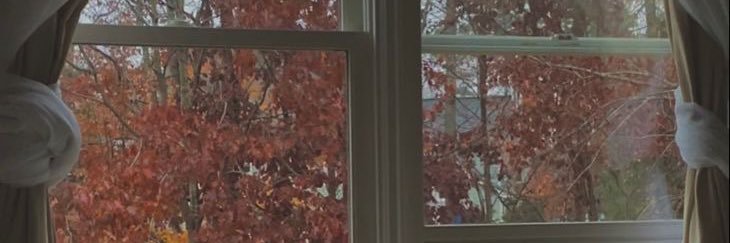 cartersully's profile banner image