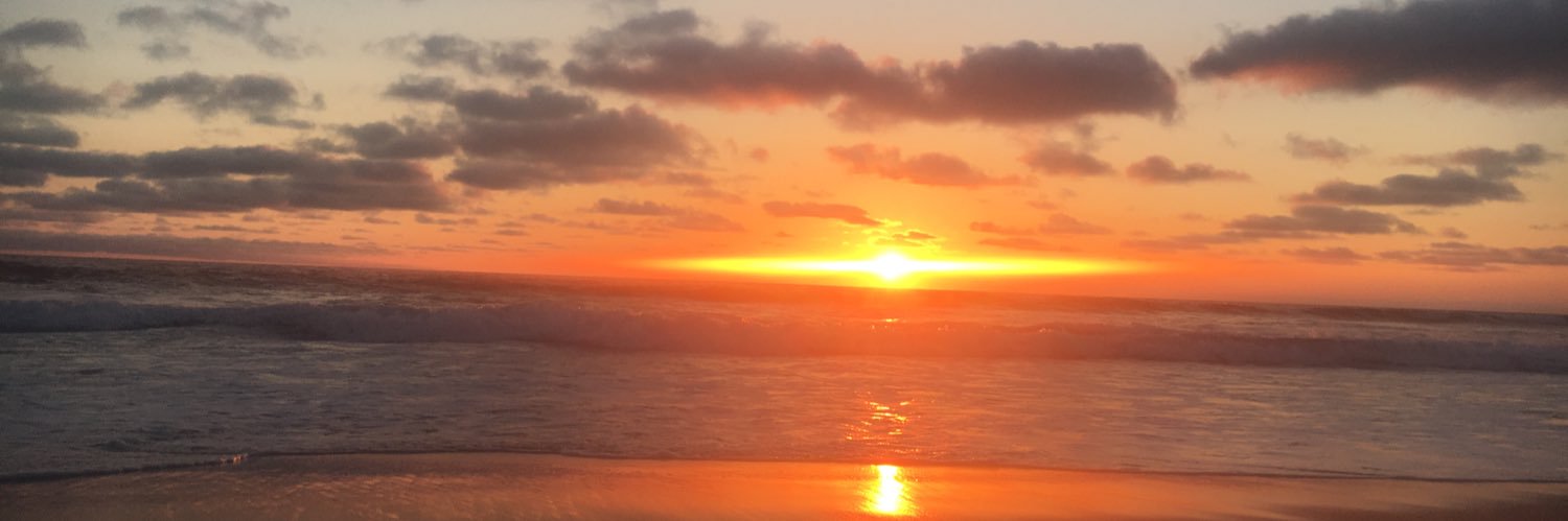 SusannahFeder's profile banner image