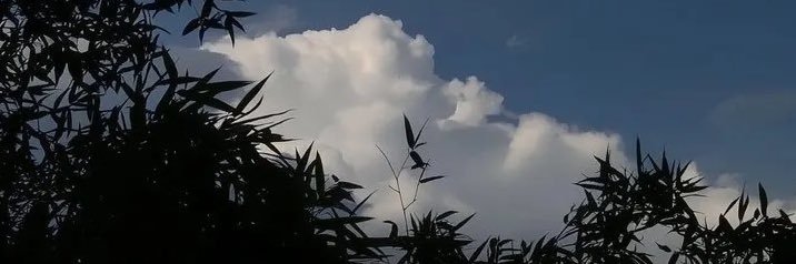 x162il's profile banner image