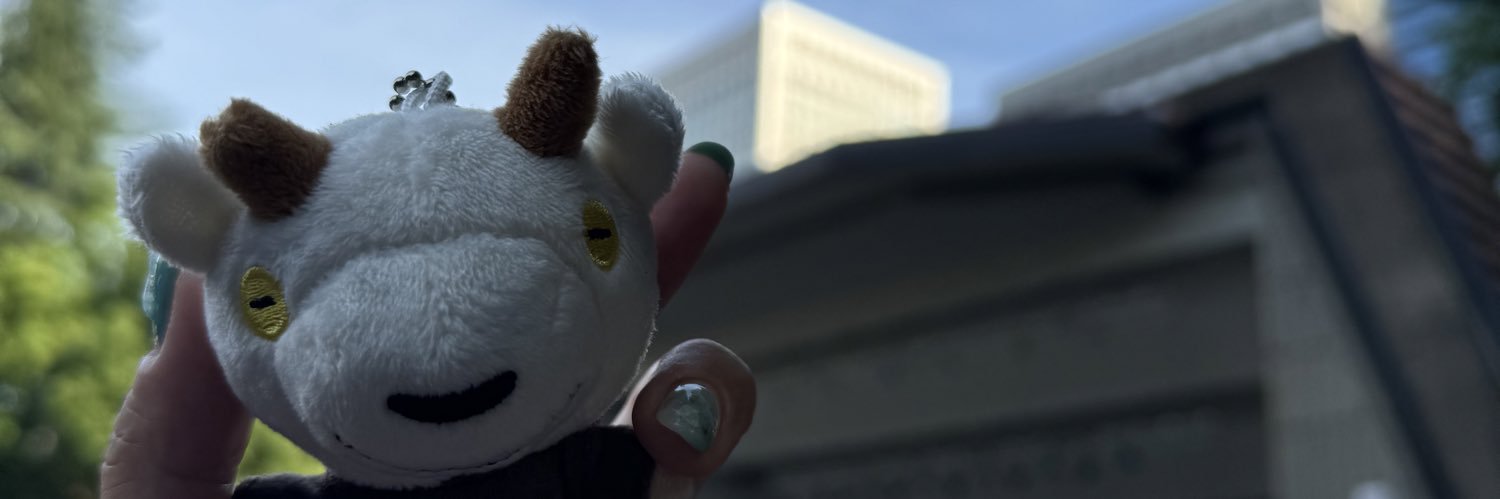 mmn21f's profile banner image
