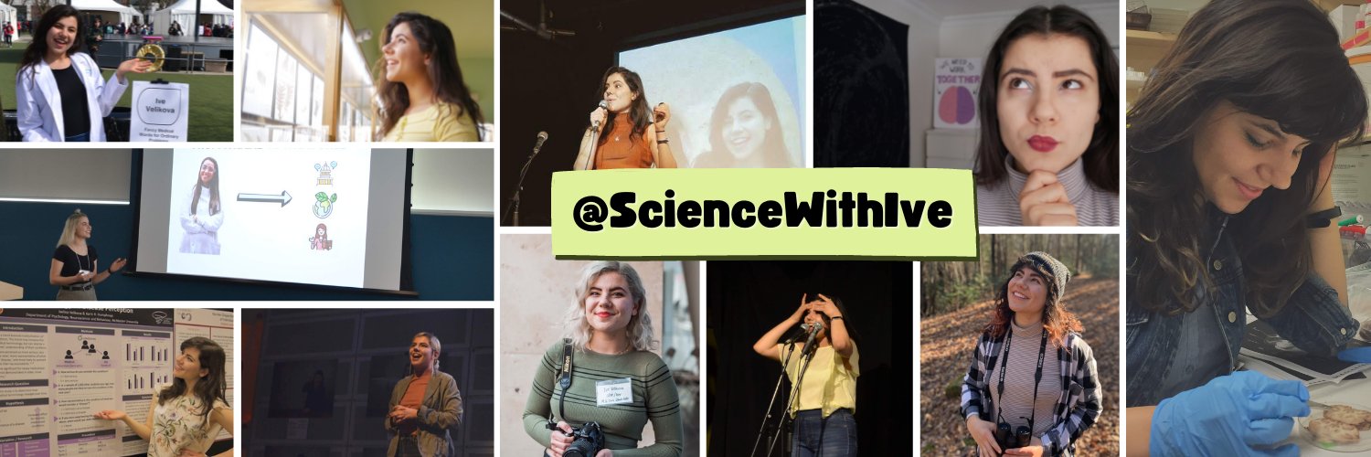 Ive Velikova, M. S. Com. banner