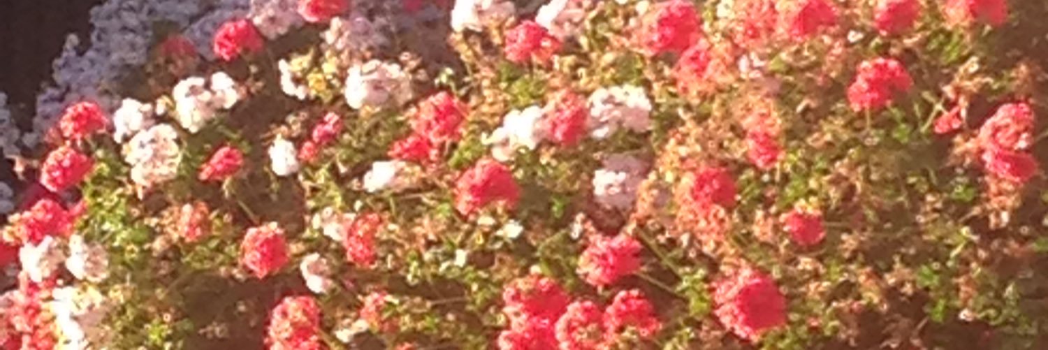 devilbyshaggy's profile banner image