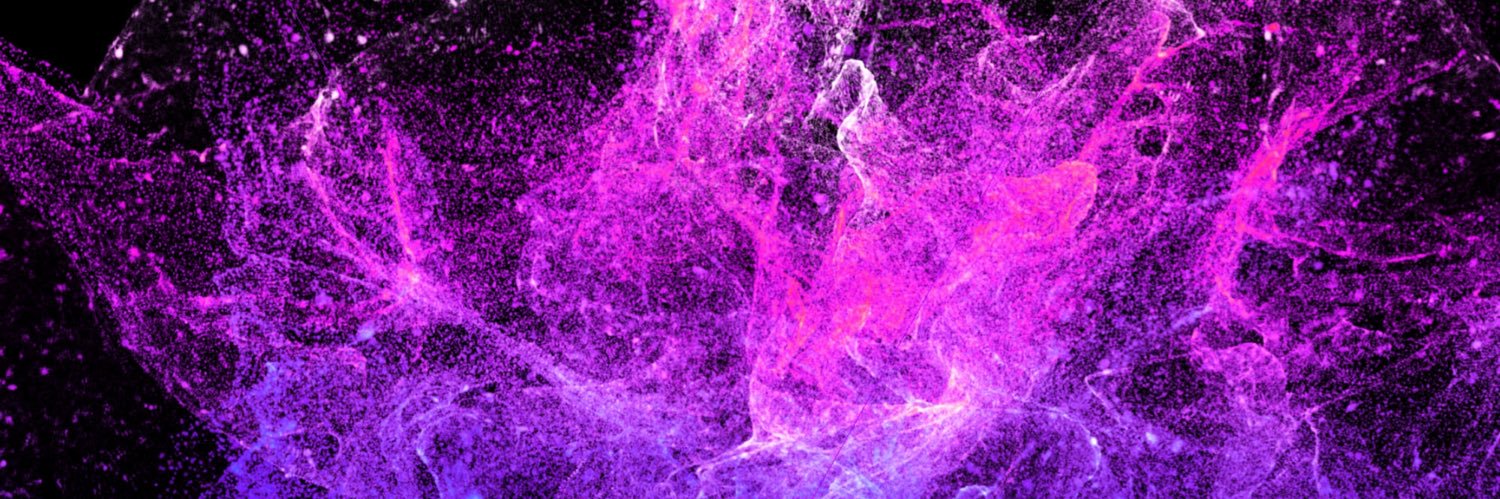 BackFly_03's profile banner image