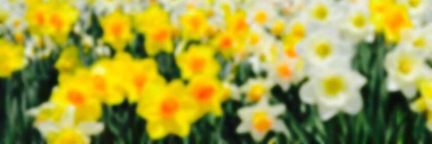 _x3l0's profile banner image