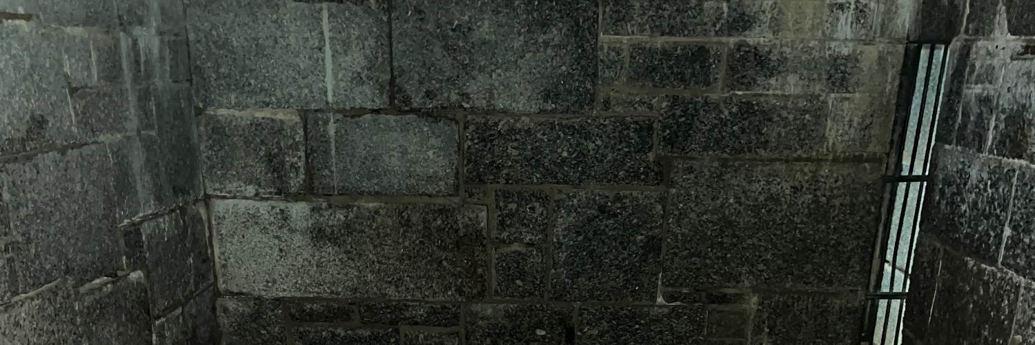 colloquialgoth's profile banner image