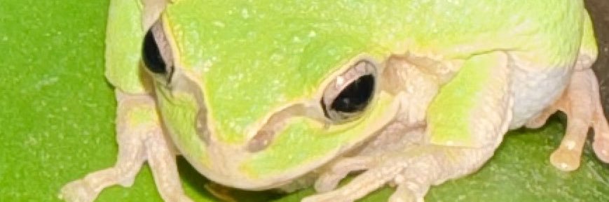 _d_ami_d_'s profile banner image