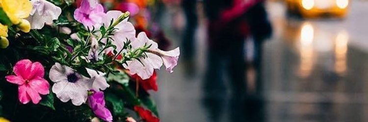 ouda_rania's profile banner image