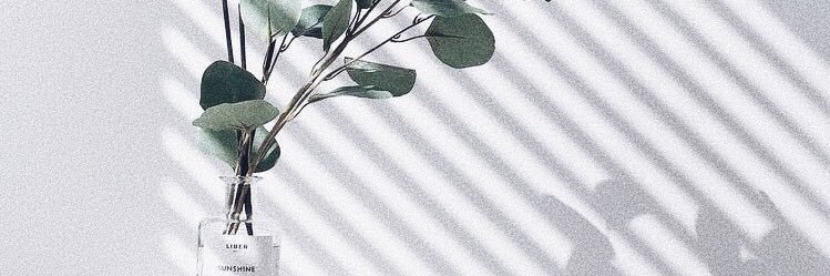 ViewViewpakjira's profile banner image