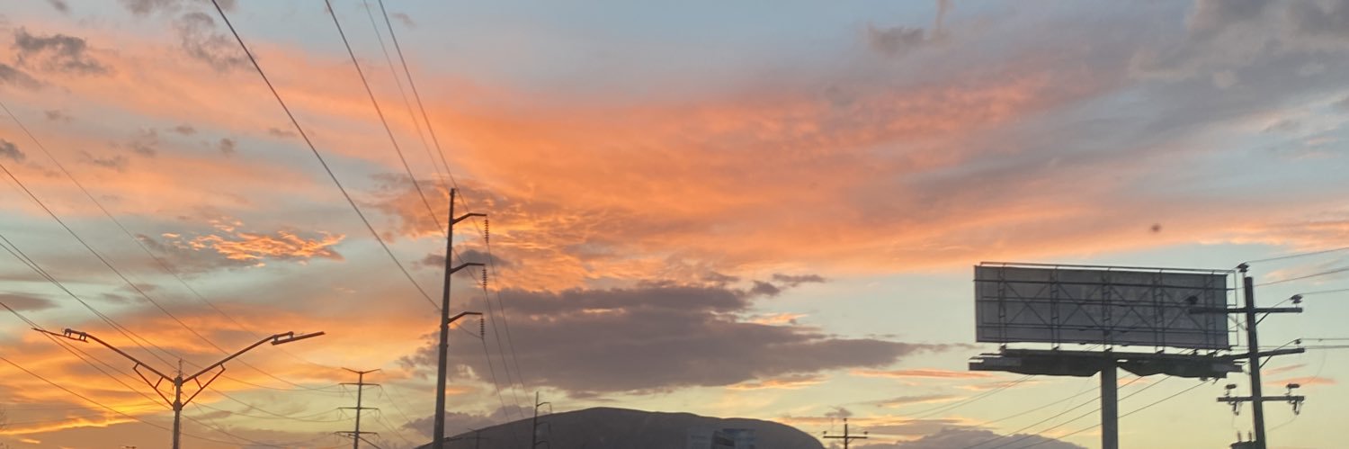 marianaaimee's profile banner image