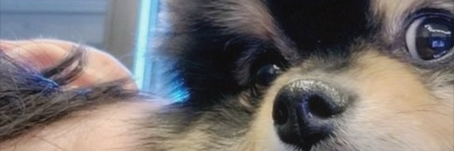 liz⁷ 🥷 ㉧㉣㉣ banner