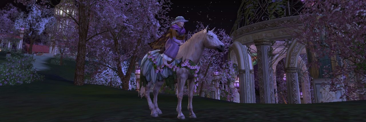 AyahsHeart's profile banner image
