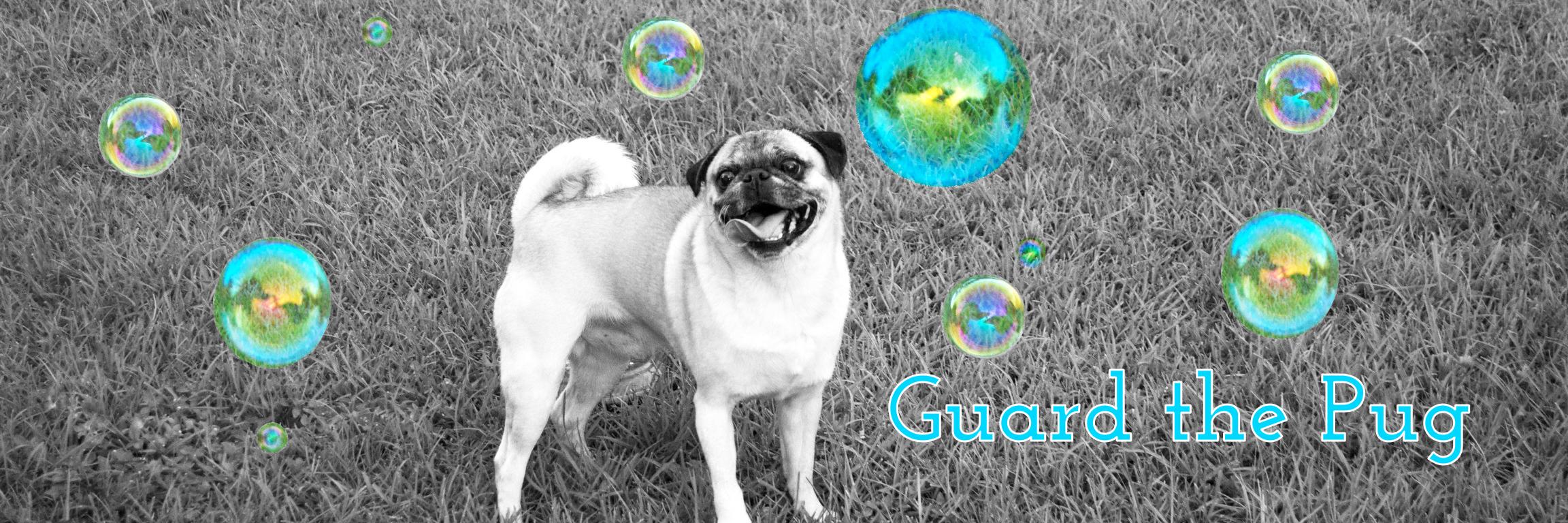 GuardthePug's profile banner image