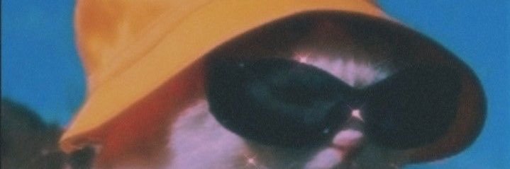 potuhtoe's profile banner image