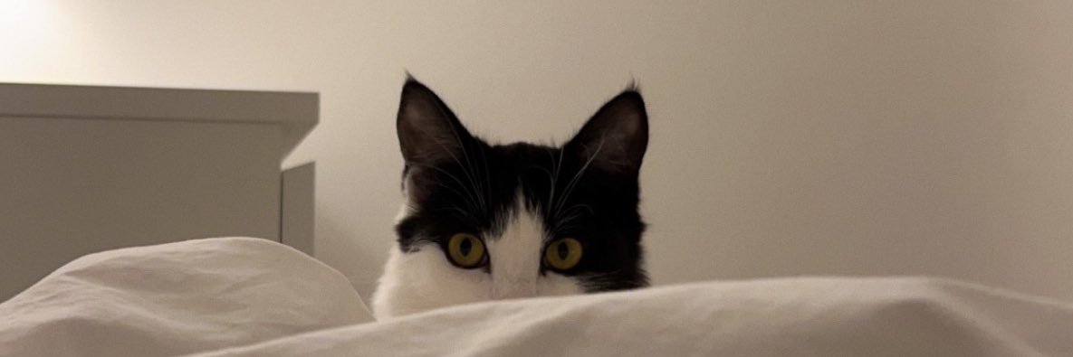 CRLORENTY's profile banner image