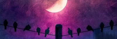 QuetzaliCastro's profile banner image