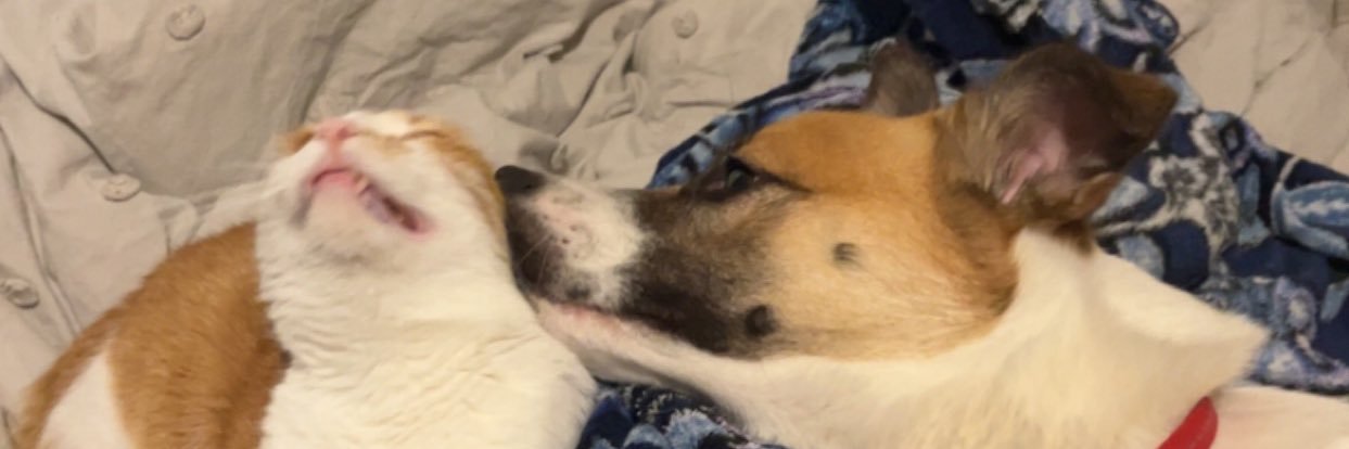 KristennWhitee's profile banner image