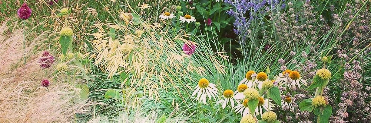 MLGardenDesign's profile banner image