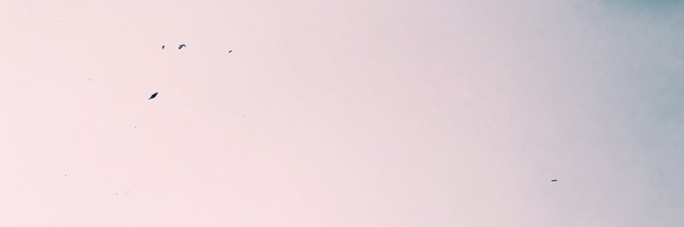 herr_becher's profile banner image